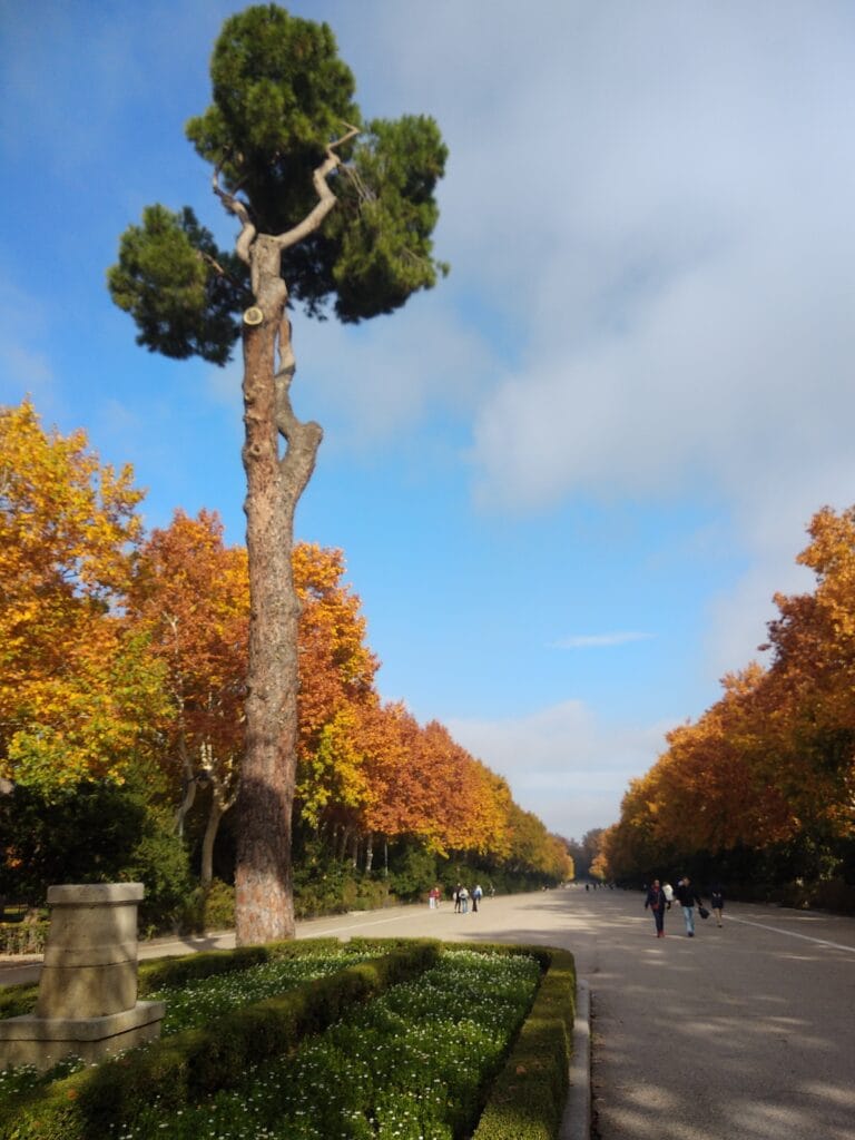 Retiro park